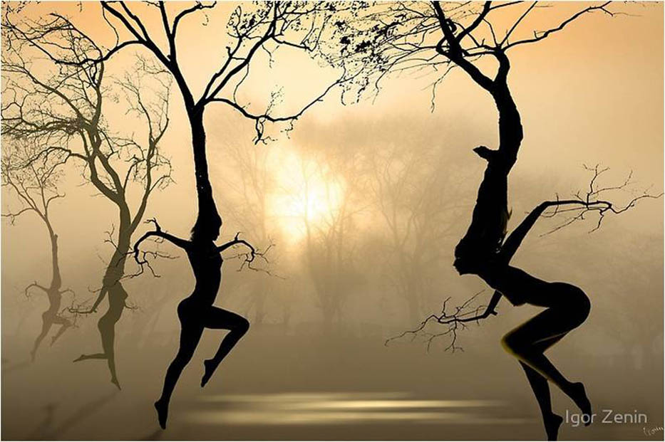 danse et arbre
